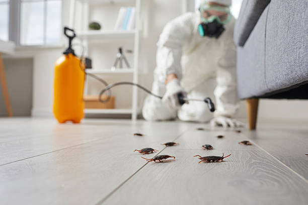 Commercial Kitchen Cockroach Control in Millersburg